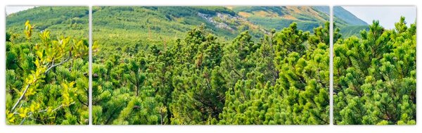Obraz - Babia Góra, Polska (170x50 cm)