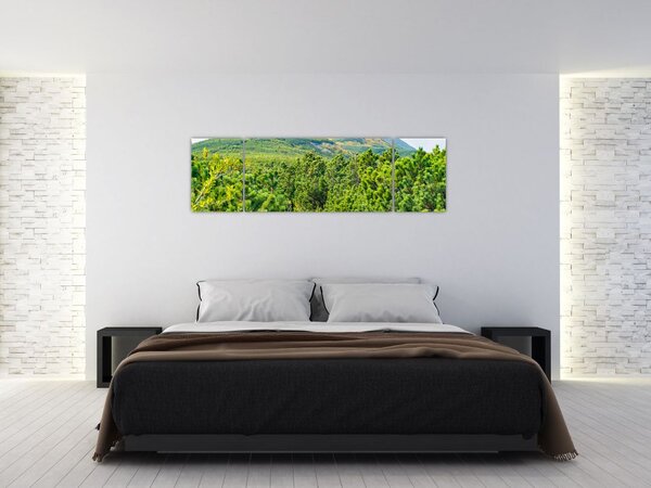 Obraz - Babia Góra, Polska (170x50 cm)