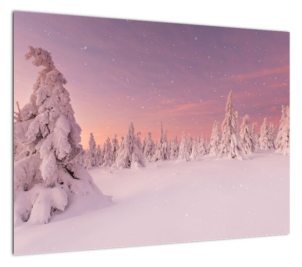 Obraz - Drzewa pod warstwą śniegu (70x50 cm)