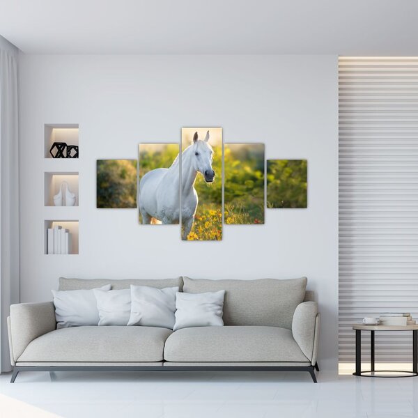 Obraz białego konia na łące (125x70 cm)