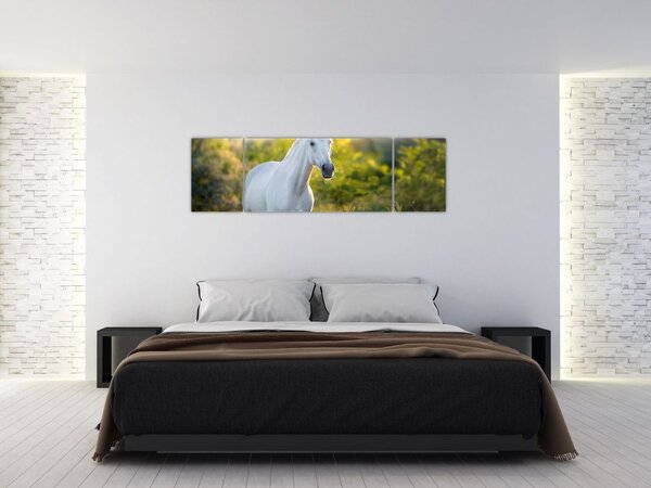 Obraz białego konia na łące (170x50 cm)