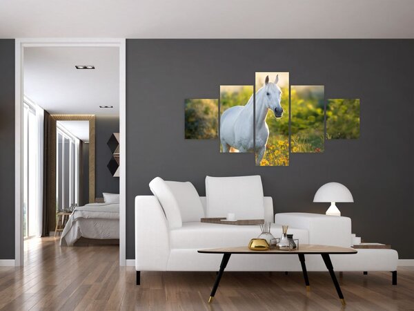 Obraz białego konia na łące (125x70 cm)