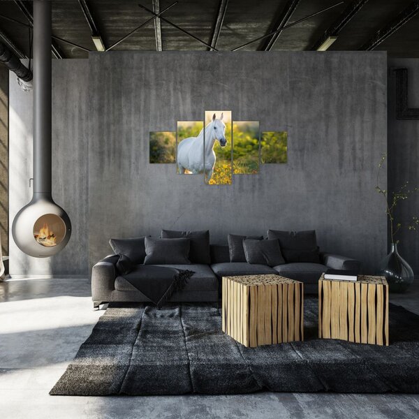 Obraz białego konia na łące (125x70 cm)