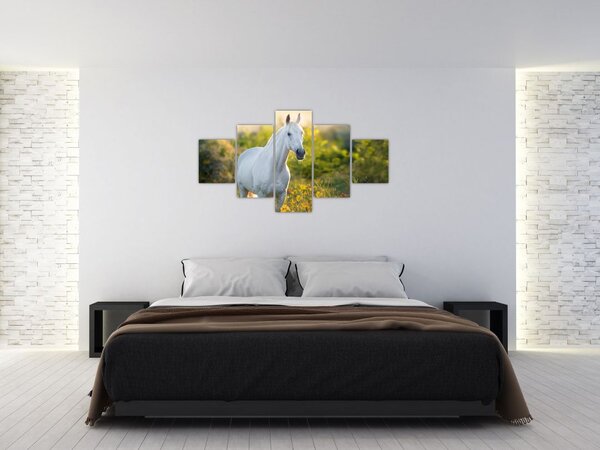 Obraz białego konia na łące (125x70 cm)