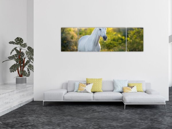 Obraz białego konia na łące (170x50 cm)