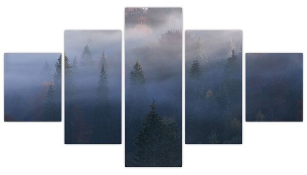 Obraz - Las we mgle, Karpaty, Ukraina (125x70 cm)