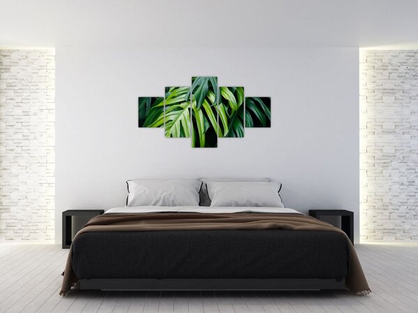 Obraz - Tropikalne liście (125x70 cm)