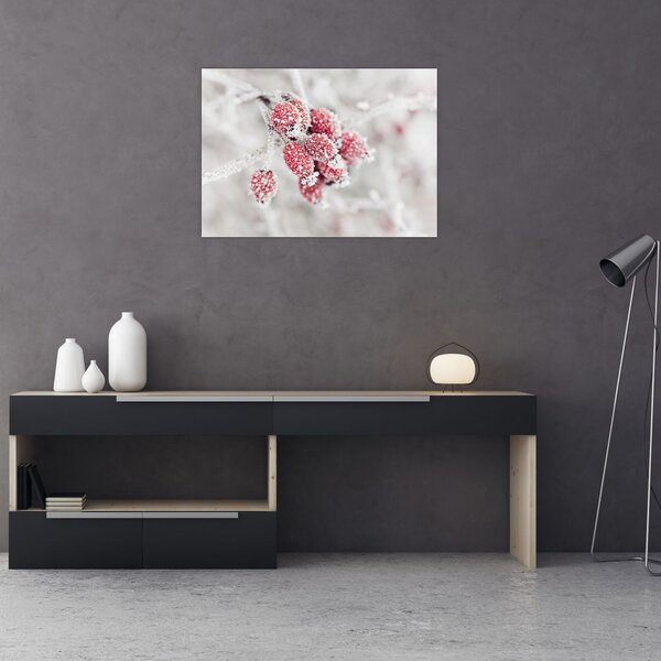 Obraz - Mrożone owoce (70x50 cm)