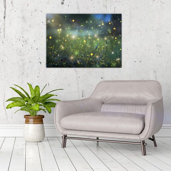 Obraz - Magiczna noc (70x50 cm)