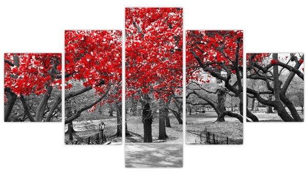 Obraz - Czerwone drzewa, Central Park, New York (125x70 cm)