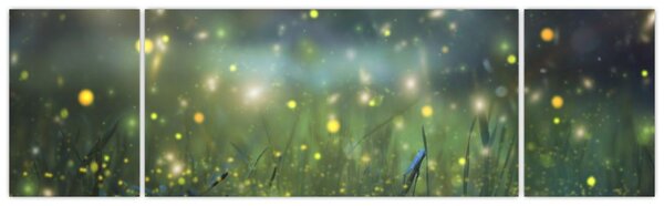 Obraz - Magiczna noc (170x50 cm)