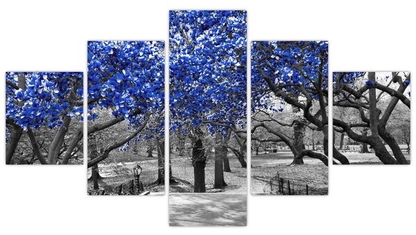 Obraz - Niebieskie drzewa, Central Park, New York (125x70 cm)