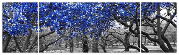 Obraz - Niebieskie drzewa, Central Park, New York (170x50 cm)