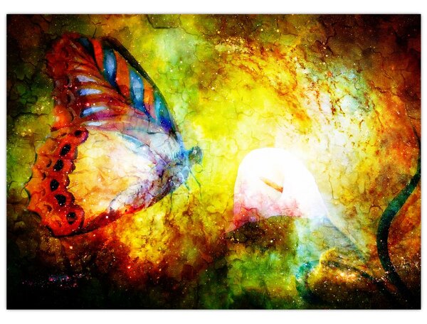 Obraz - Kosmiczny motyl (70x50 cm)