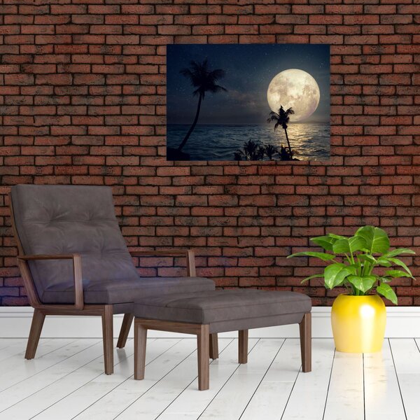 Obraz - Plaża pod pełnią księżyca (70x50 cm)