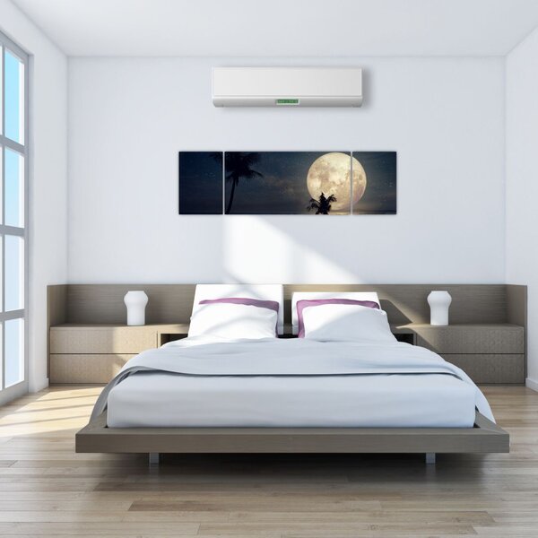 Obraz - Plaża pod pełnią księżyca (170x50 cm)