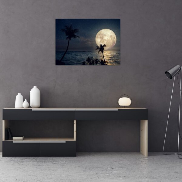 Obraz - Plaża pod pełnią księżyca (70x50 cm)