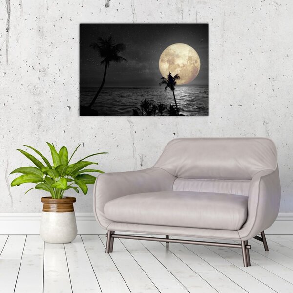 Obraz - Plaża pod pełnią księżyca w odcieniach szarości (70x50 cm)