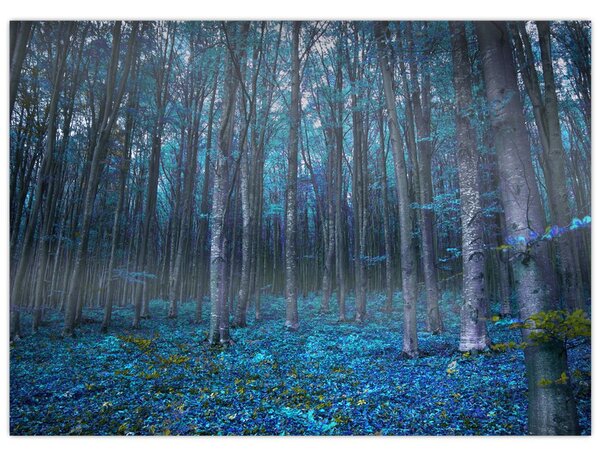 Obraz - Magiczny las (70x50 cm)