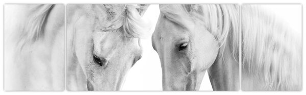 Obraz białych koni (170x50 cm)