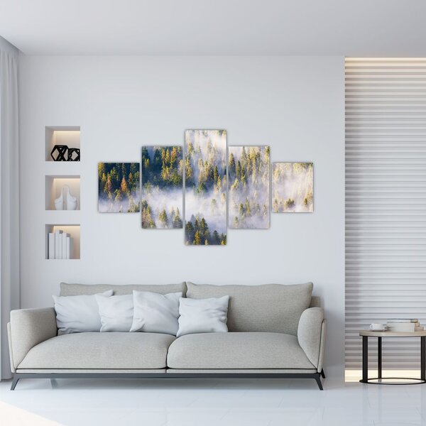 Obraz drzew we mgle (125x70 cm)