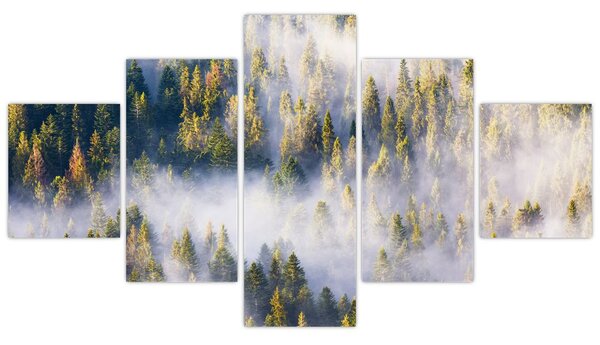 Obraz drzew we mgle (125x70 cm)