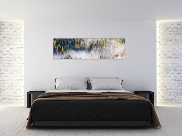 Obraz drzew we mgle (170x50 cm)