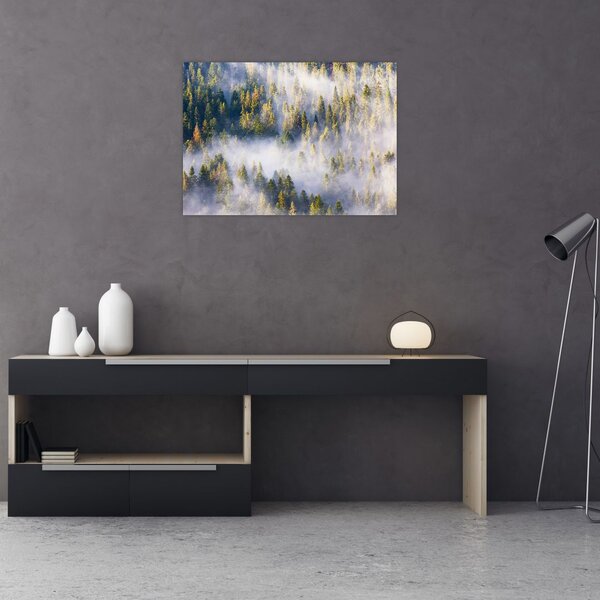 Obraz drzew we mgle (70x50 cm)