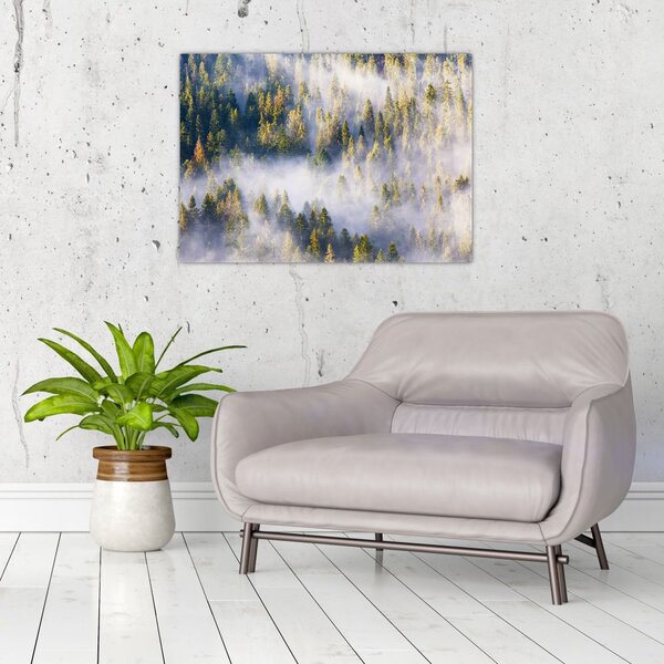 Obraz drzew we mgle (70x50 cm)