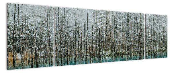 Obraz - Turkusowy staw, Biei, Japonia (170x50 cm)