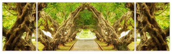 Obraz - Żywy tunel plumerii (170x50 cm)
