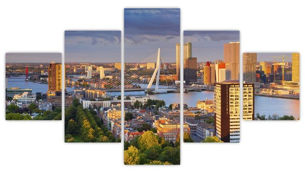Obraz - Panorama Rotterdamu, Holandia (125x70 cm)