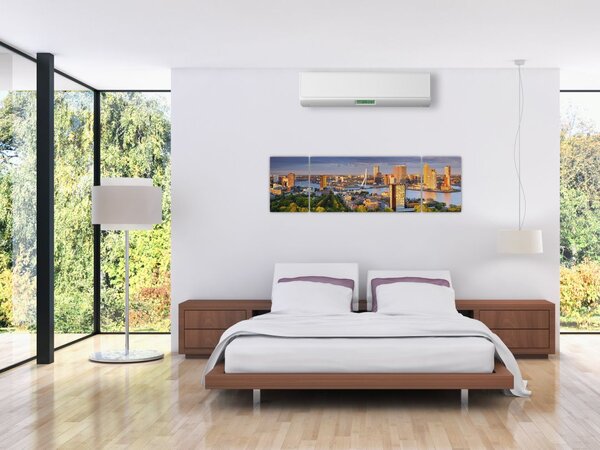 Obraz - Panorama Rotterdamu, Holandia (170x50 cm)