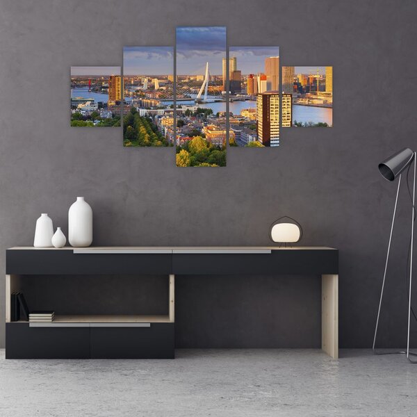 Obraz - Panorama Rotterdamu, Holandia (125x70 cm)