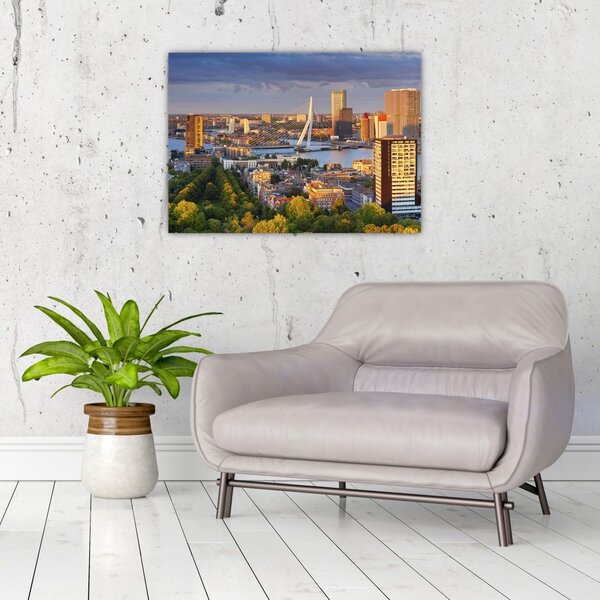 Obraz - Panorama Rotterdamu, Holandia (70x50 cm)