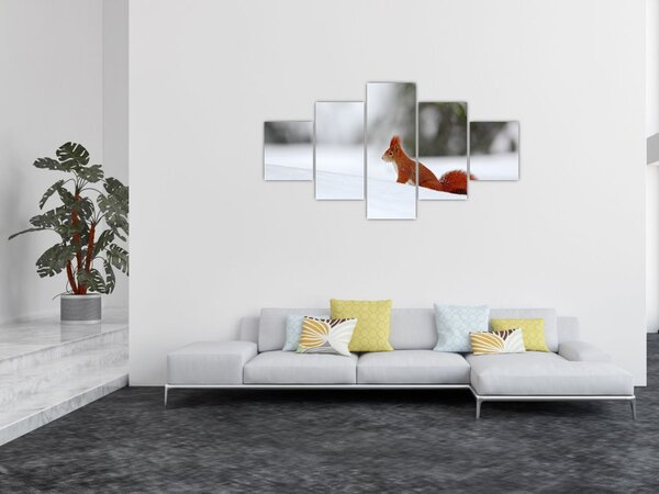 Obraz wiewiórki (125x70 cm)
