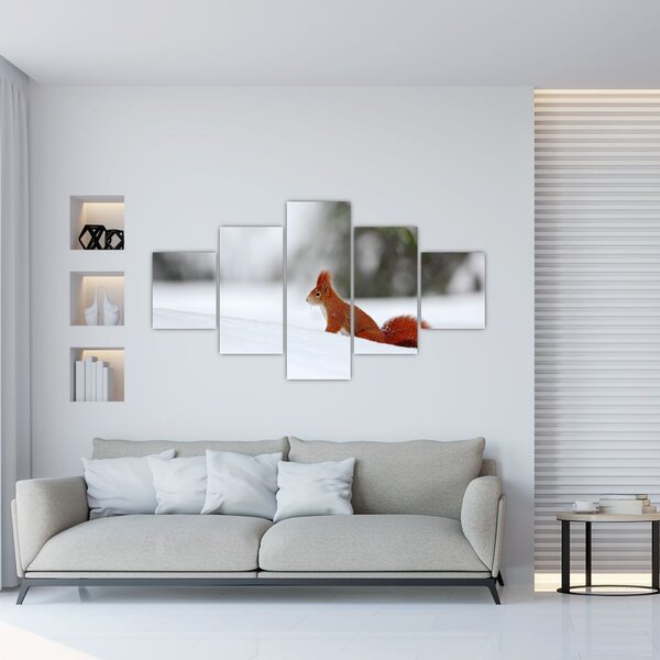 Obraz wiewiórki (125x70 cm)