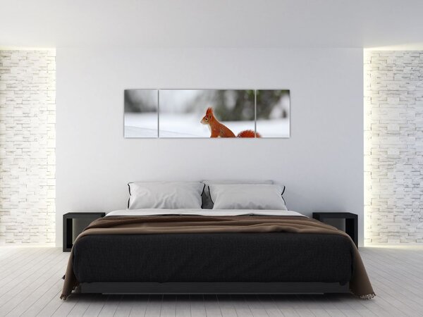 Obraz wiewiórki (170x50 cm)