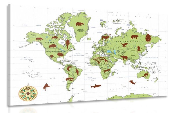 Obraz mapa ze zwierzętami