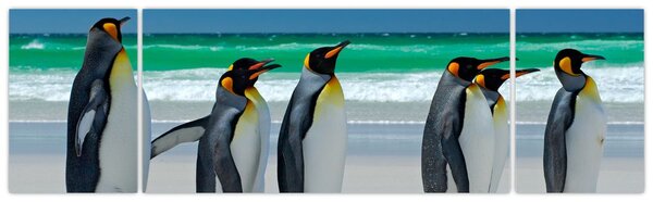Obraz - Grupa Pingwinów królewskich (170x50 cm)