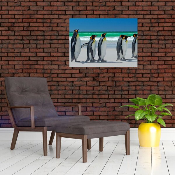 Obraz - Grupa Pingwinów królewskich (70x50 cm)