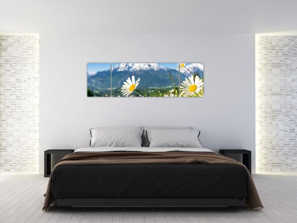 Obraz - Wiosna w Alpach (170x50 cm)