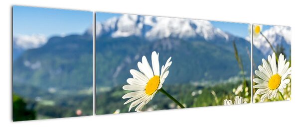 Obraz - Wiosna w Alpach (170x50 cm)