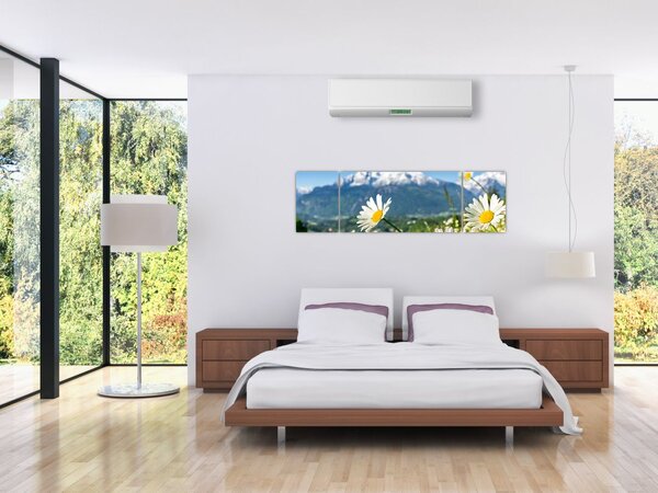 Obraz - Wiosna w Alpach (170x50 cm)