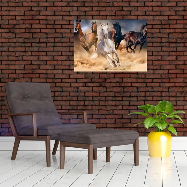 Obraz - Konie na pustyni (70x50 cm)