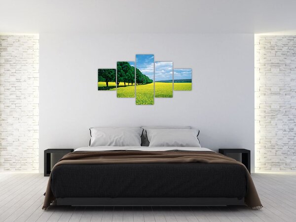 Obraz pola z aleją (125x70 cm)