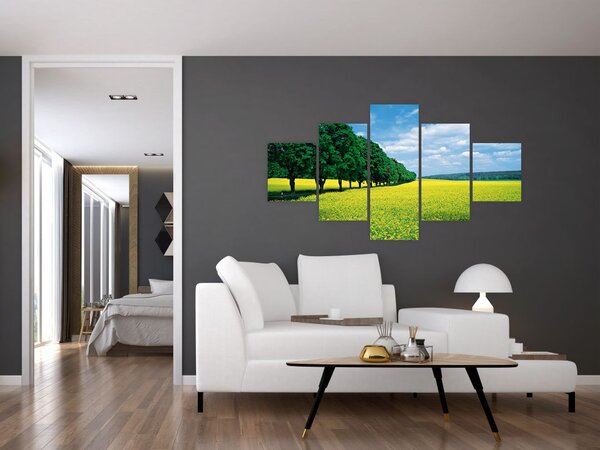 Obraz pola z aleją (125x70 cm)