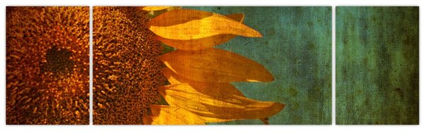 Obraz - Słonecznik (170x50 cm)