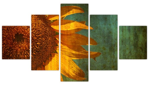 Obraz - Słonecznik (125x70 cm)