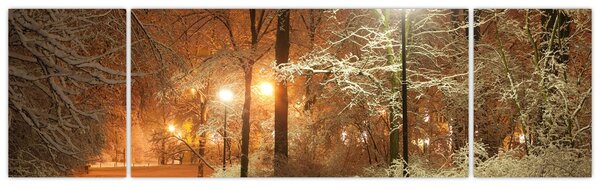 Obraz - Zaśnieżony park (170x50 cm)